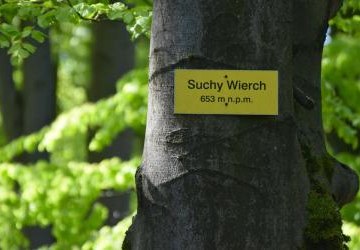 Budowlanka na beskidzkich szlakach